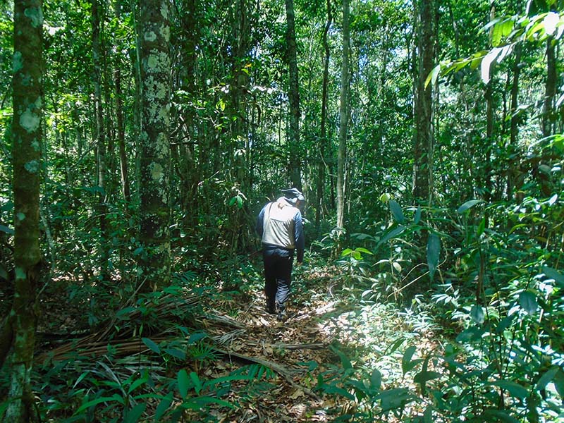 Pesquisa arqueológica leva equipe até o Mato Grosso