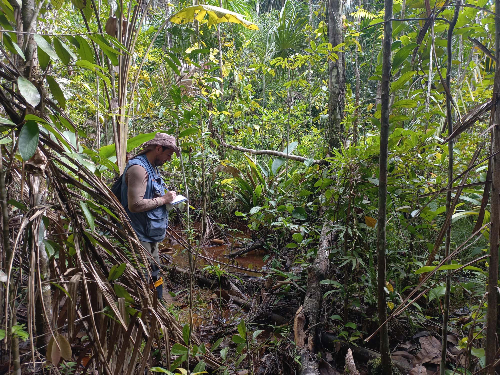 Arqueologia preventiva na região Amazônica