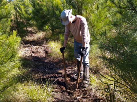 Lorem ipsum dolor sit amet, consectetur adipiscing elit