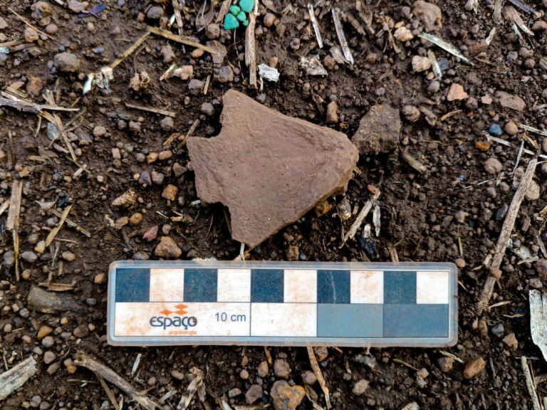 Lorem ipsum dolor sit amet, consectetur adipiscing elit