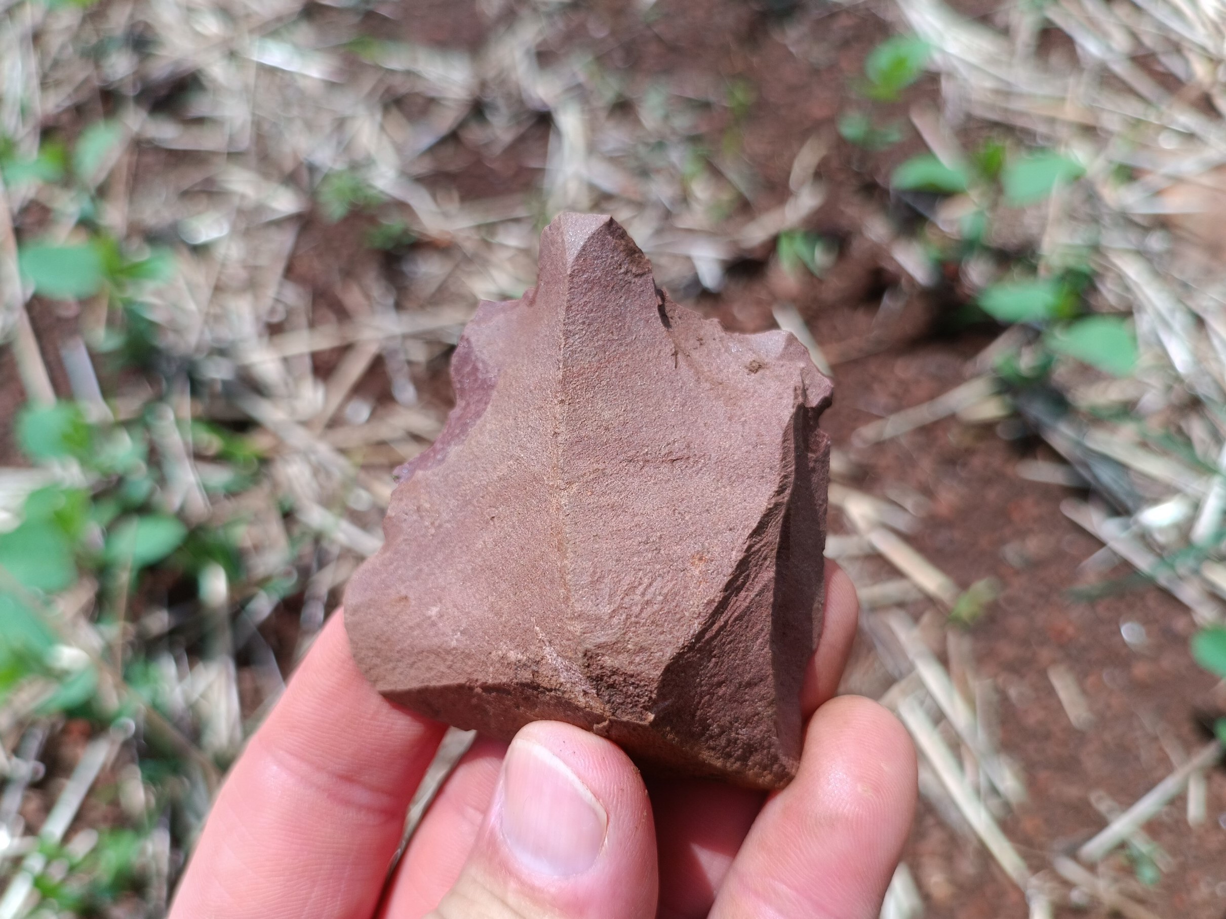 Quatro sítios arqueológicos pré-coloniais são identificados na região Missioneira, estado do Rio Grande do Sul