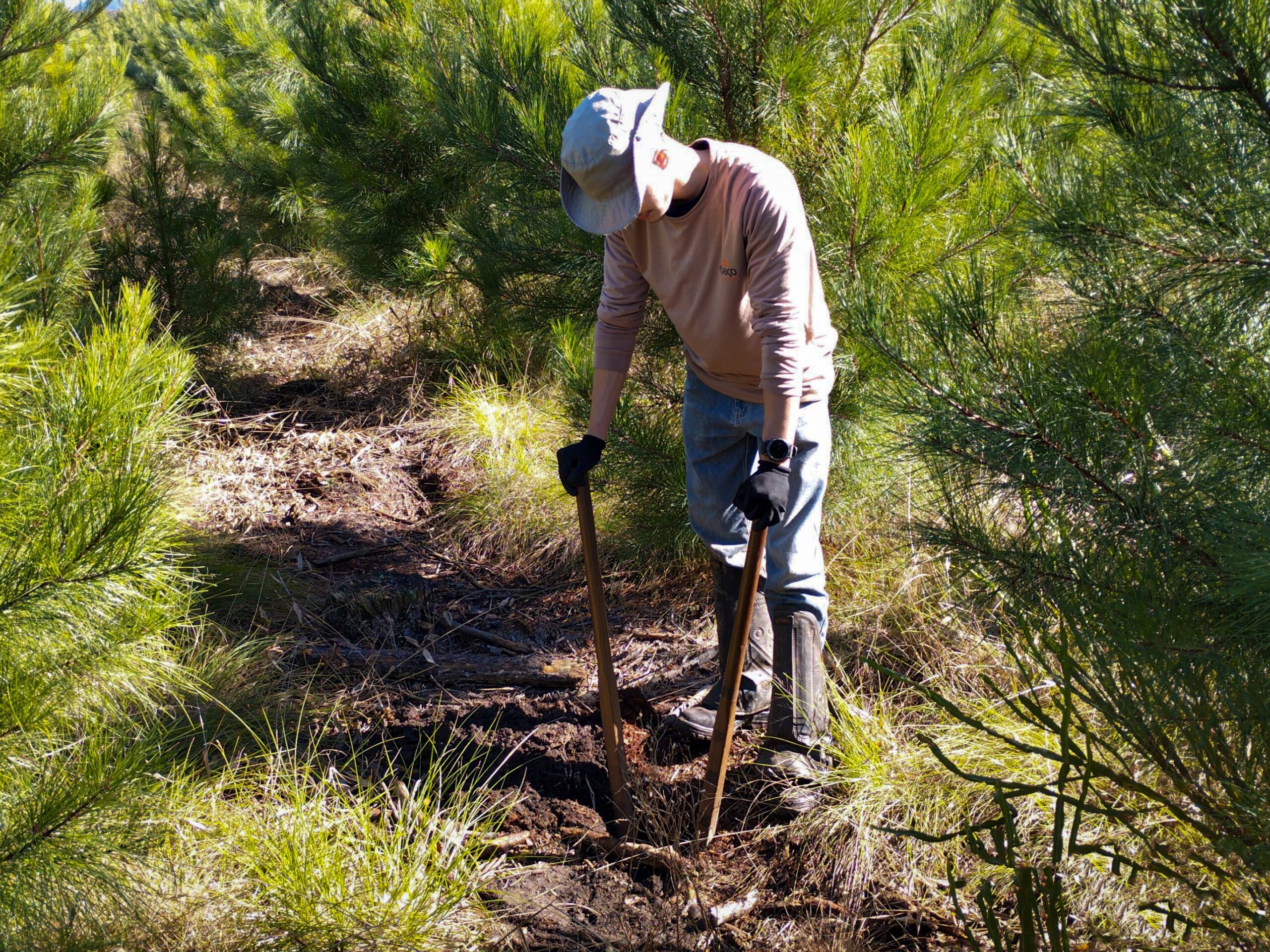 Avaliação de impacto ao Patrimônio Arqueológico na serra catarinense